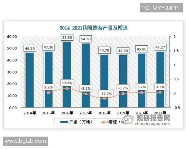 深圳乒乓球队团队协作表现的数据分析与研究探讨
